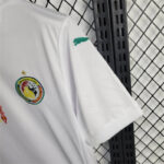 Camiseta-Senegal-primera-equipacion-2024-2025-puño-izquierdo