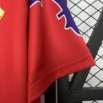 camiseta-fiorentina-tercera-equipacion-retro-1995-1996-puño-izquierdo