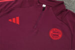 Chandal Bayern Munich Rojo vino 2924-2025 pecho