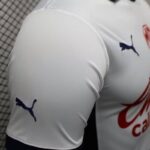 camiseta-chivas-segunda-equipacion-version-jugador-2024-2025-puño-derecho