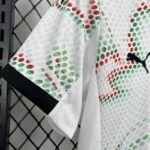 conjunto-niño-portugal-segunda-equipacion-2025-2026-puño-derecho