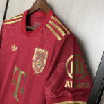 camiseta-bayern-de-munich-125-aniversario-rojo-2025-2026-puño