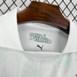 camiseta-palmeiras-segunda-equipacion-2025-2026-dorsal