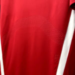 camiseta-retro-chile-primera-equipacion-2014-parte-inferior