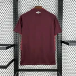 camiseta-lanus-primera-equipacion-2025-2026-parte-trasera