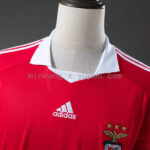 camiseta-benfica-primera-equipacion-retro-2009-2010-cuello