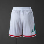 pantalon-corto-mexico-primera-equipacion-version-jugador-mundial-2026-parte-trasera