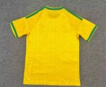 camiseta-sudafrica-primera-equipacion-mundial-2026-parte-trasera