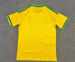 camiseta-sudafrica-primera-equipacion-mundial-2026-parte-trasera